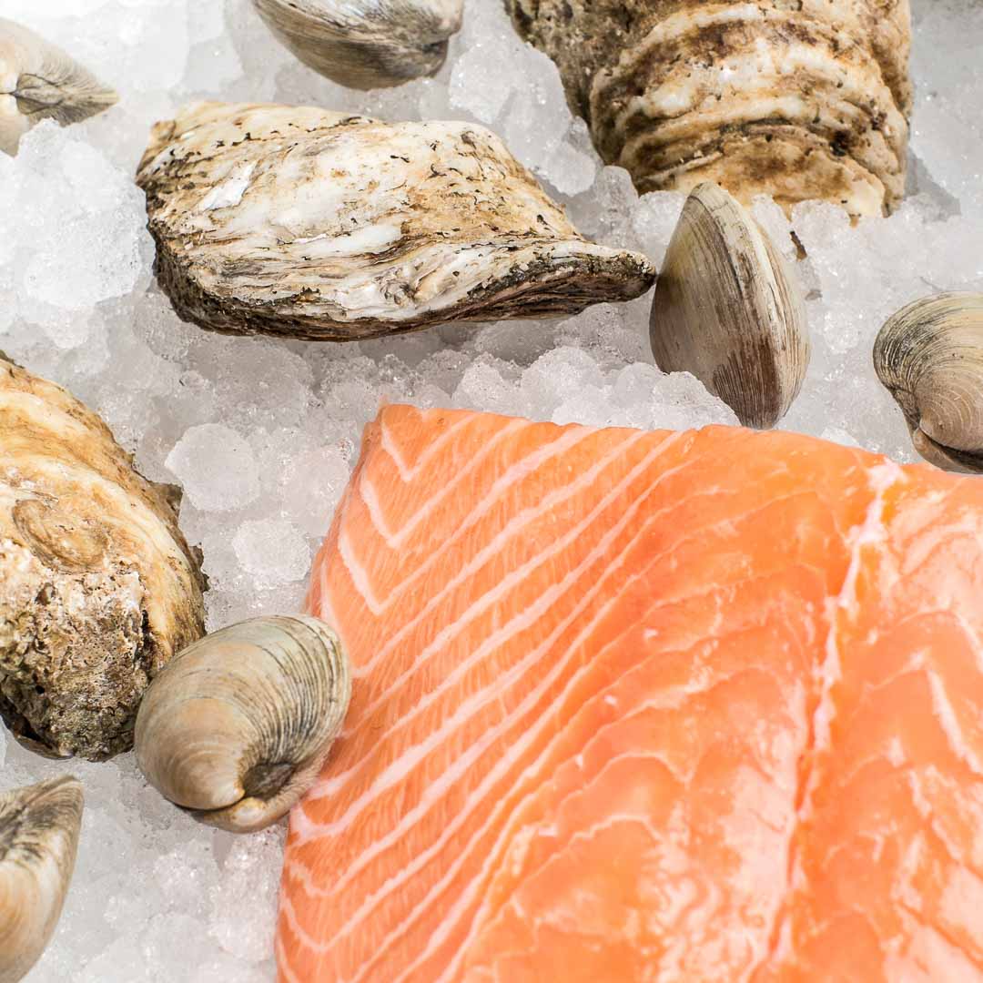 Fresh Caught Salmon