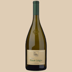 Holiday Market Featured Wine Cantina Terlano Pinot Grigio 2022