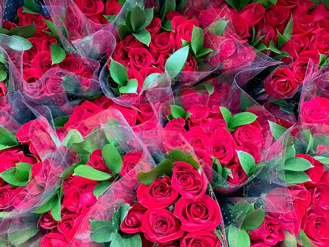 Holiday Market Royal Oak Michigan Floral Department Red Roses For Valentine's Day